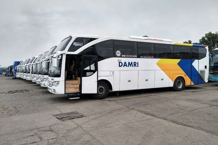 lombok airport taxi use a public transport airport transfers lombok by damri bus